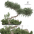 Árbol Planta en exterior 180 - uniquevry