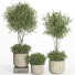 Flowerpots Indoor Plant Set 034 - nr.asgari