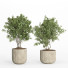 Flowerpots Indoor Plant Set 034 - nr.asgari