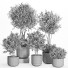 Flowerpots Indoor Plant Set 034 - nr.asgari
