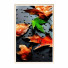 Pictures Wall Frame 126 - farnaz3dsky