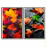 Pictures Wall Frame 126 - farnaz3dsky