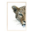 Pictures Wall Frame 128 - farnaz3dsky
