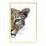 Pictures Wall Frame 128 - farnaz3dsky