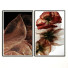 Pictures Wall Frame 173 - farnaz3dsky