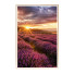 Pinturas Wall Frame 140 - farnaz3dsky