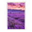 Картини Wall Frame 147 - farnaz3dsky
