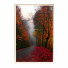 Картини Wall Frame 179 - farnaz3dsky