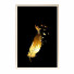 Pictures Wall Frame 187 - farnaz3dsky