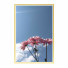 Картини Wall Frame 219 - farnaz3dsky