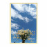 Картини Wall Frame 220 - farnaz3dsky