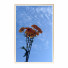 Картини Wall Frame 220 - farnaz3dsky