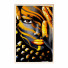 Pictures Wall Frame 229 - farnaz3dsky
