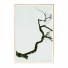 Pictures Wall Frame 244 - farnaz3dsky