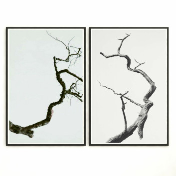 Pictures  Wall Frame 244 3D model