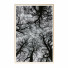Картини Wall Frame 246 - farnaz3dsky
