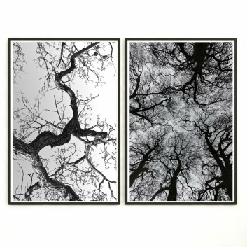 Картини Wall Frame 246