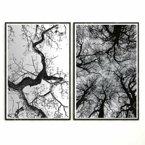 Картини Wall Frame 246 3D модель