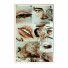 Pictures Wall Frame 252 - farnaz3dsky