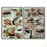 Pictures Wall Frame 252 - farnaz3dsky