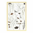 Pictures Wall Frame 254 - farnaz3dsky