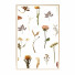 Pictures Wall Frame 254 - farnaz3dsky