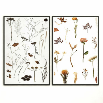 Pictures  Wall Frame 254 3D model
