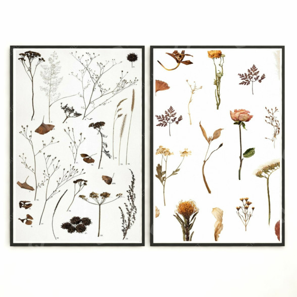 Pictures Wall Frame 254 3D model