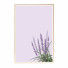 Pictures Wall Frame 255 - farnaz3dsky