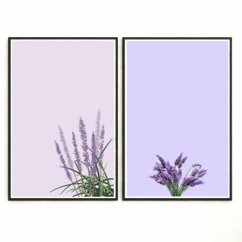 Pictures  Wall Frame 255 3D model