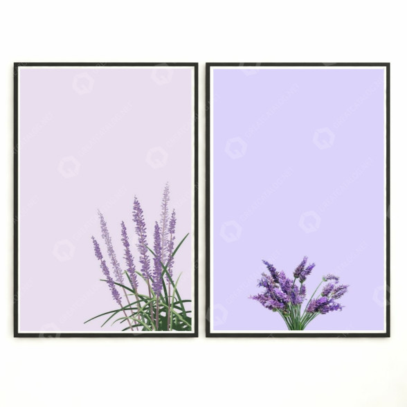 Pictures Wall Frame 255 3D model