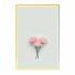 Kino Wall Frame 257 - farnaz3dsky