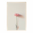 Kino Wall Frame 257 - farnaz3dsky