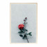 Картини Wall Frame 258 - farnaz3dsky