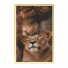Pictures Wall Frame 297 - farnaz3dsky