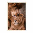 Pictures Wall Frame 297 - farnaz3dsky