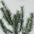 Mesa Servida Christmas - Levitskiy_Igor