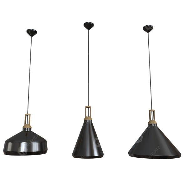 Lampes suspendues Ceiling Light 3 modèle 3D