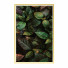 Pictures Wall Frame 308 - farnaz3dsky