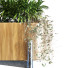 Doniczka Plant in Box Set 068 - unisjamavari