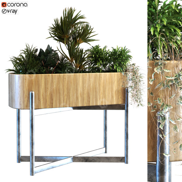 Doniczka Plant in Box Set 068 model 3D