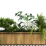 Maceta Planta en caja conjunto 069 - unisjamavari