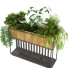 Maceta Planta en caja conjunto 069 - unisjamavari