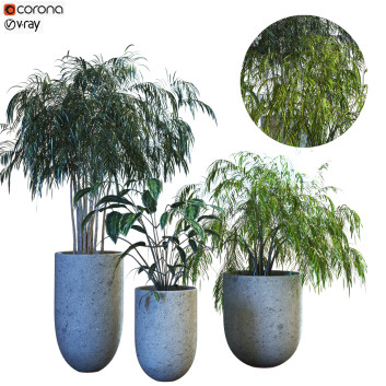 Doniczki  Plant in Box Set 070 Model 3D