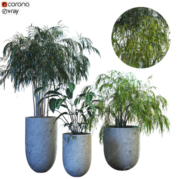 Macetas Planta en caja conjunto 070 Modelo 3D