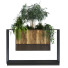 Maceta Planta en caja conjunto 071 - unisjamavari