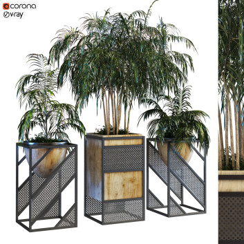 Doniczki  Plant in Box Set 075 Model 3D