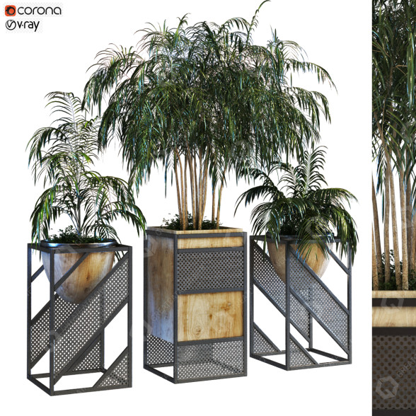 Macetas Planta en caja conjunto 075 Modelo 3D