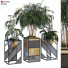 Macetas Planta en caja conjunto 075 - unisjamavari