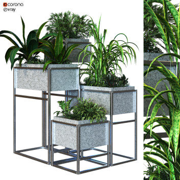 Doniczki  Plant in Box Set 081 Model 3D